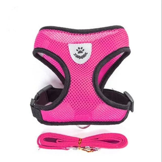 Pink dog harness with black straps and a matching leash on a white background