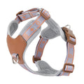Dog harness with gray and orange pattern on a white background