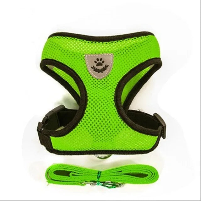 Green dog harness and leash set on a white background