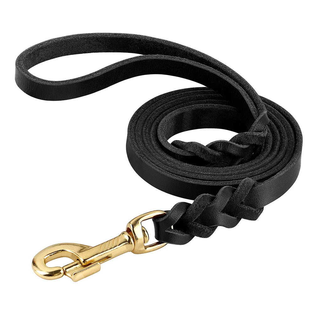 Black dog leash with a gold clasp on a white background