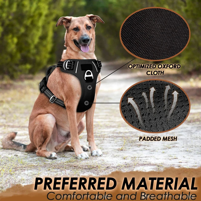 Dog wearing a black harness with material details and text on a natural background