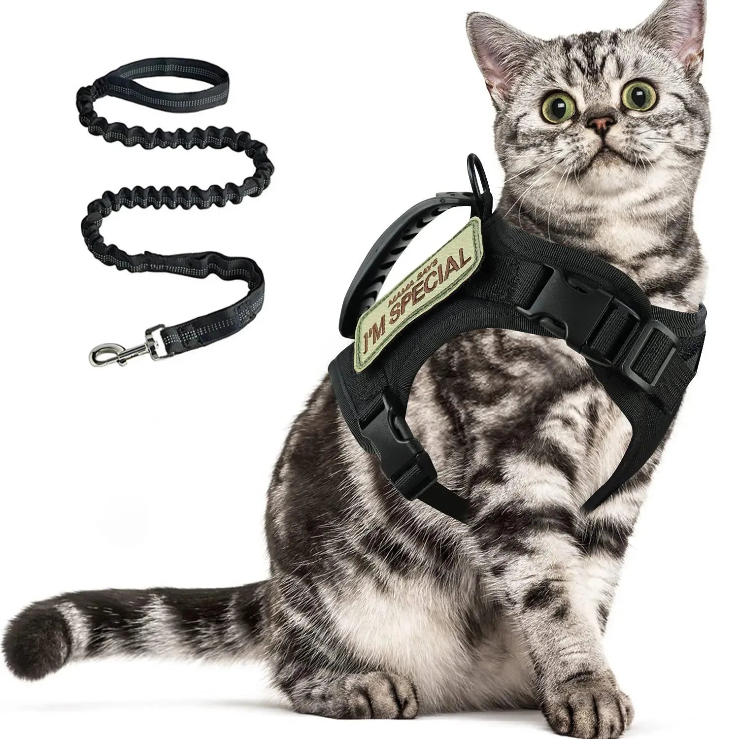 A gray tabby cat wearing a black pet harness with a beige patch that reads 'UN SPECIAL', shown alongside a matching black bungee leash on a white background.