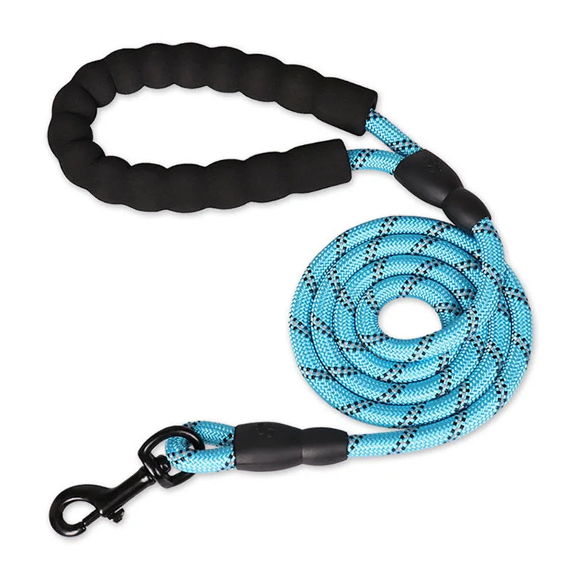 Blue and black dog leash on a white background