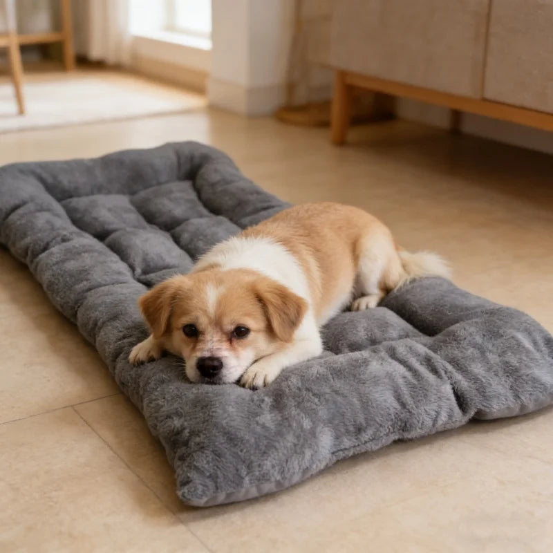 Small dog lying on a gray pet bed in a home setting