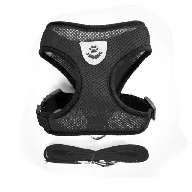 Black dog harness with reflective leash on a white background