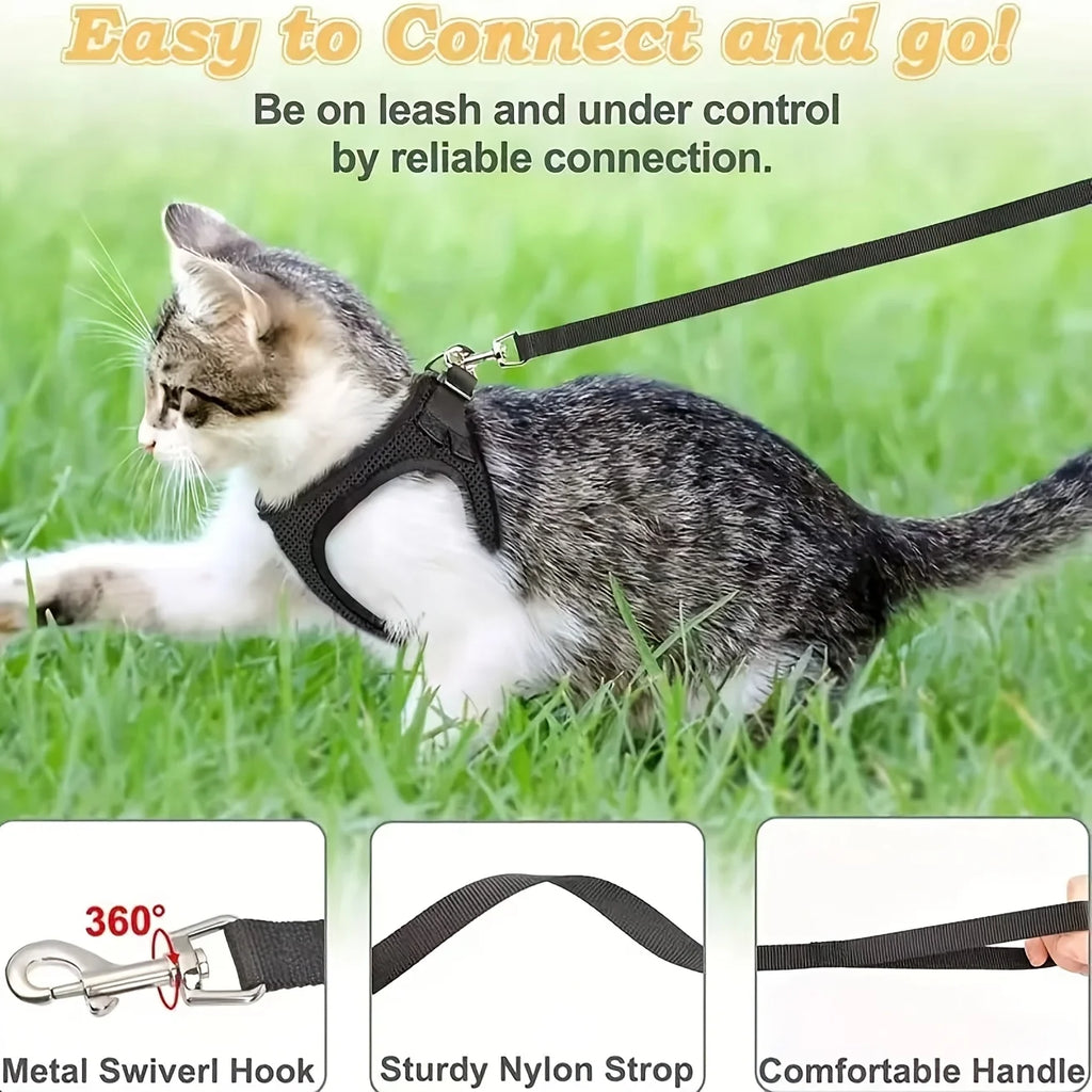 Cat wearing a harness and leash on grass with text about ease of use and product features.