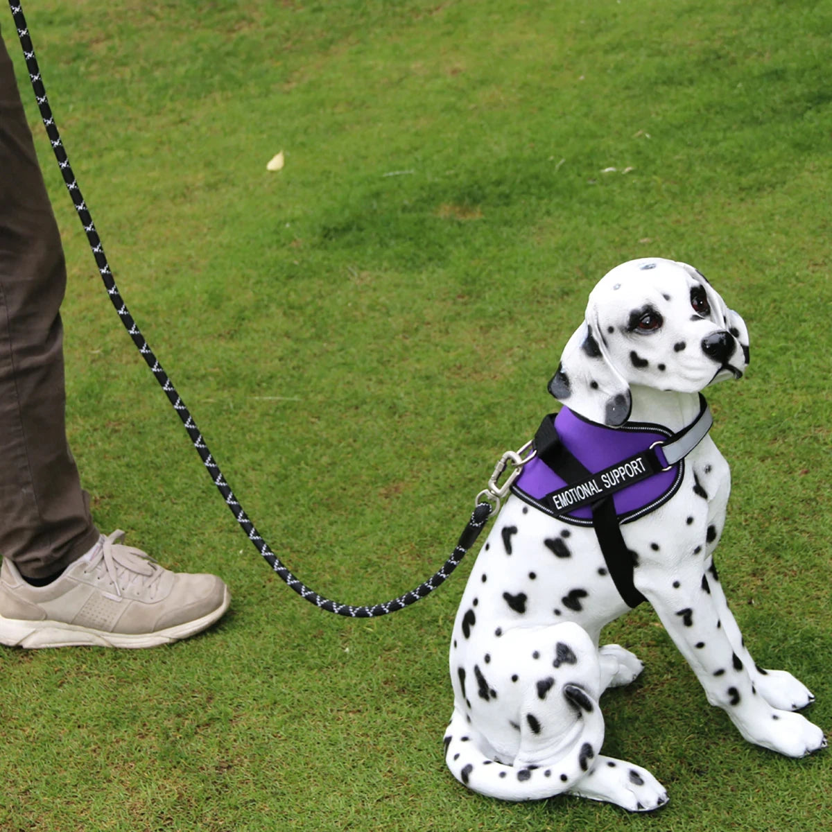 A Dalmatian dog toy wearing a purple and black harness sits on a green grass lawn, attached to a black-and-white patterned leash held by a person whose leg is visible on the left.