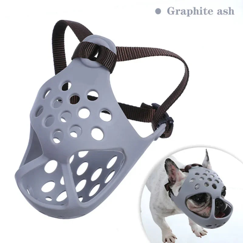 Gray dog muzzle with brown strap on a white background, shown on a small dog.