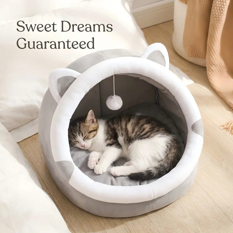 Cat sleeping in a round cat-shaped pet bed with 'Sweet Dreams Guaranteed' text.