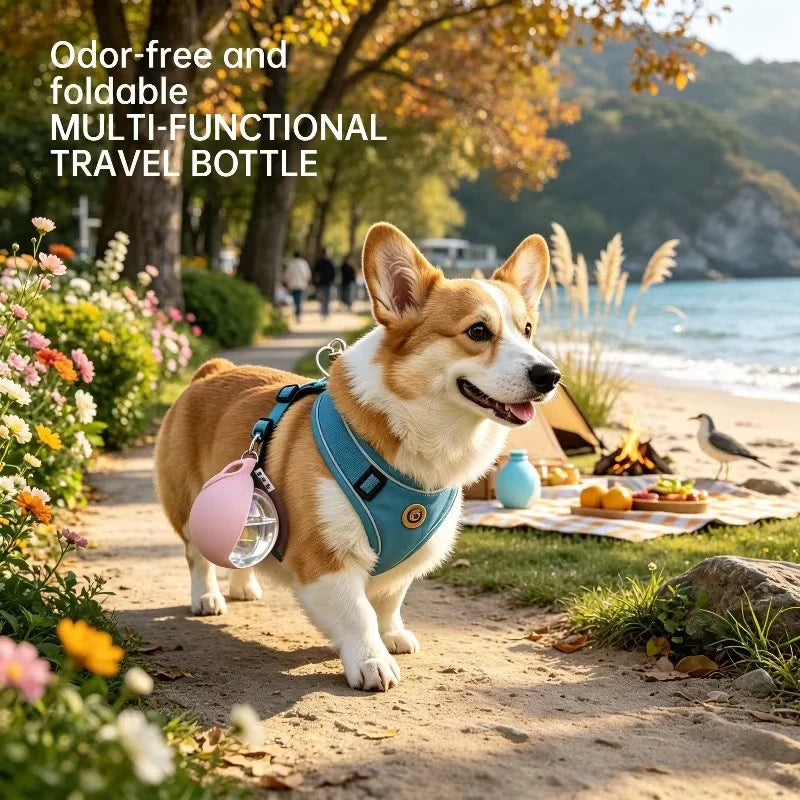 Dog on a beach with a travel bottle holder, surrounded by nature.