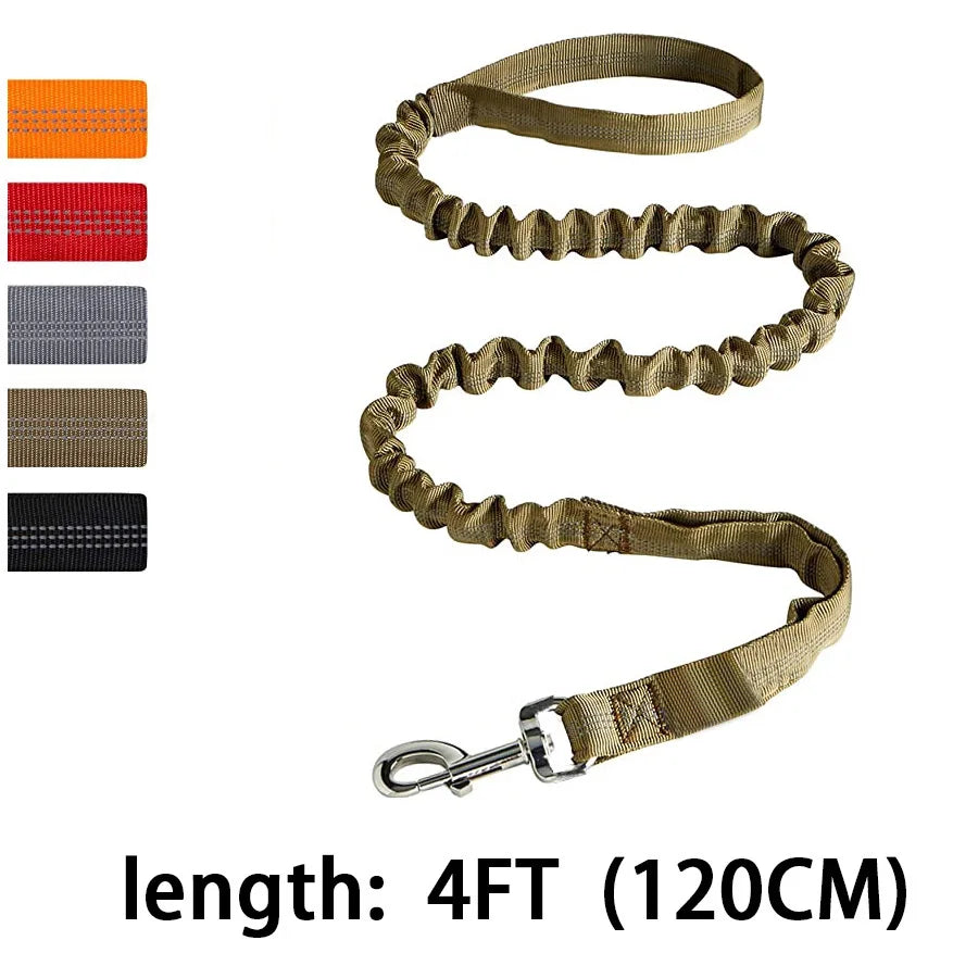 Dog leash with color options displayed on a white background