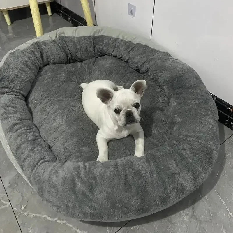 White dog sitting on a gray pet bed in a room with a tiled floor.