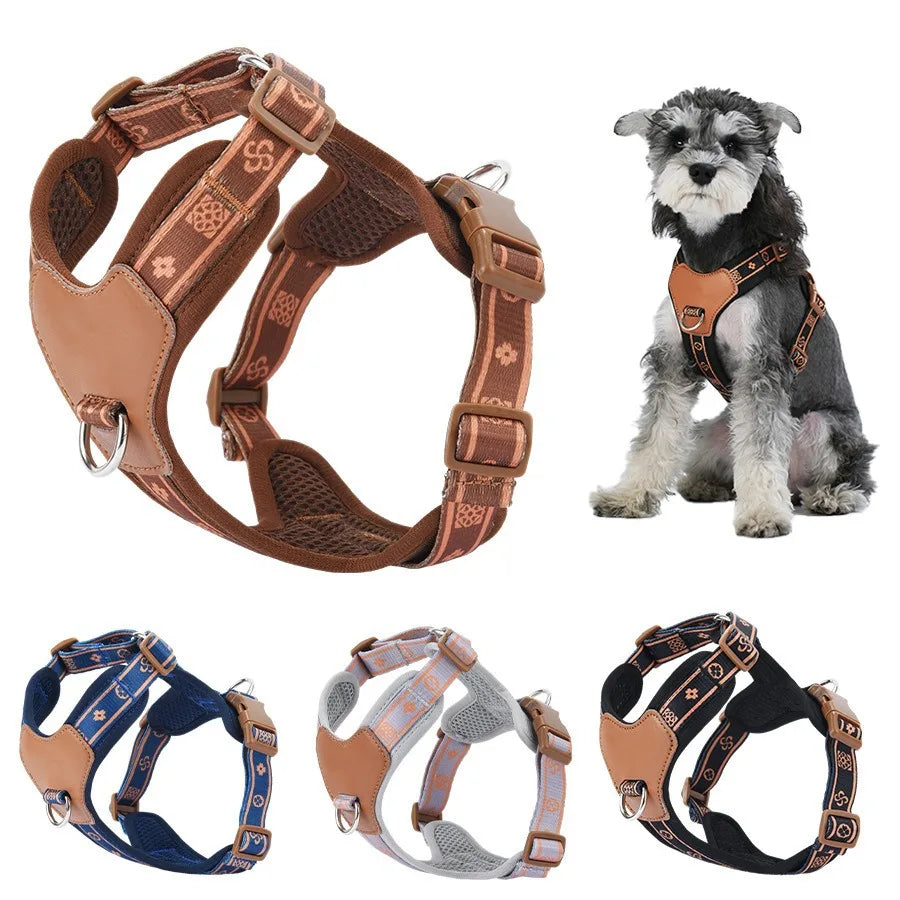 Collection of dog harnesses with a small dog model wearing a brown harness on a white background.