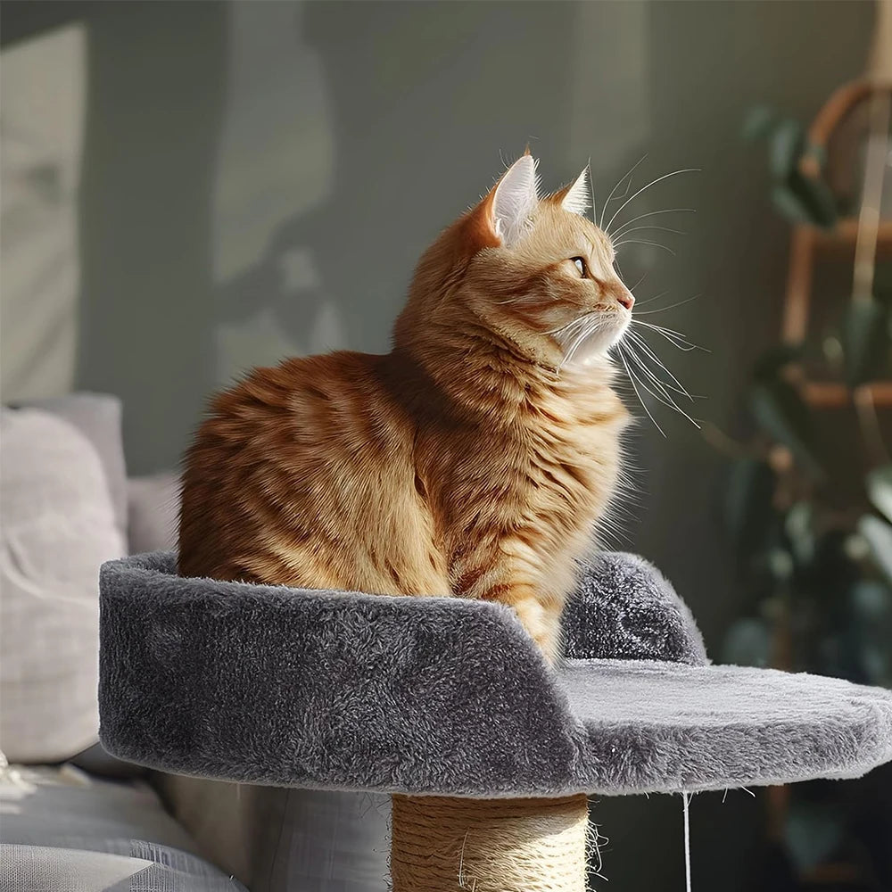 Orange cat sitting on a gray cat tree in a home setting