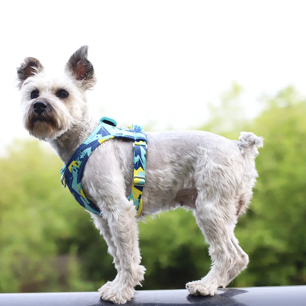 Adjustable Dog Harness & Leash Set