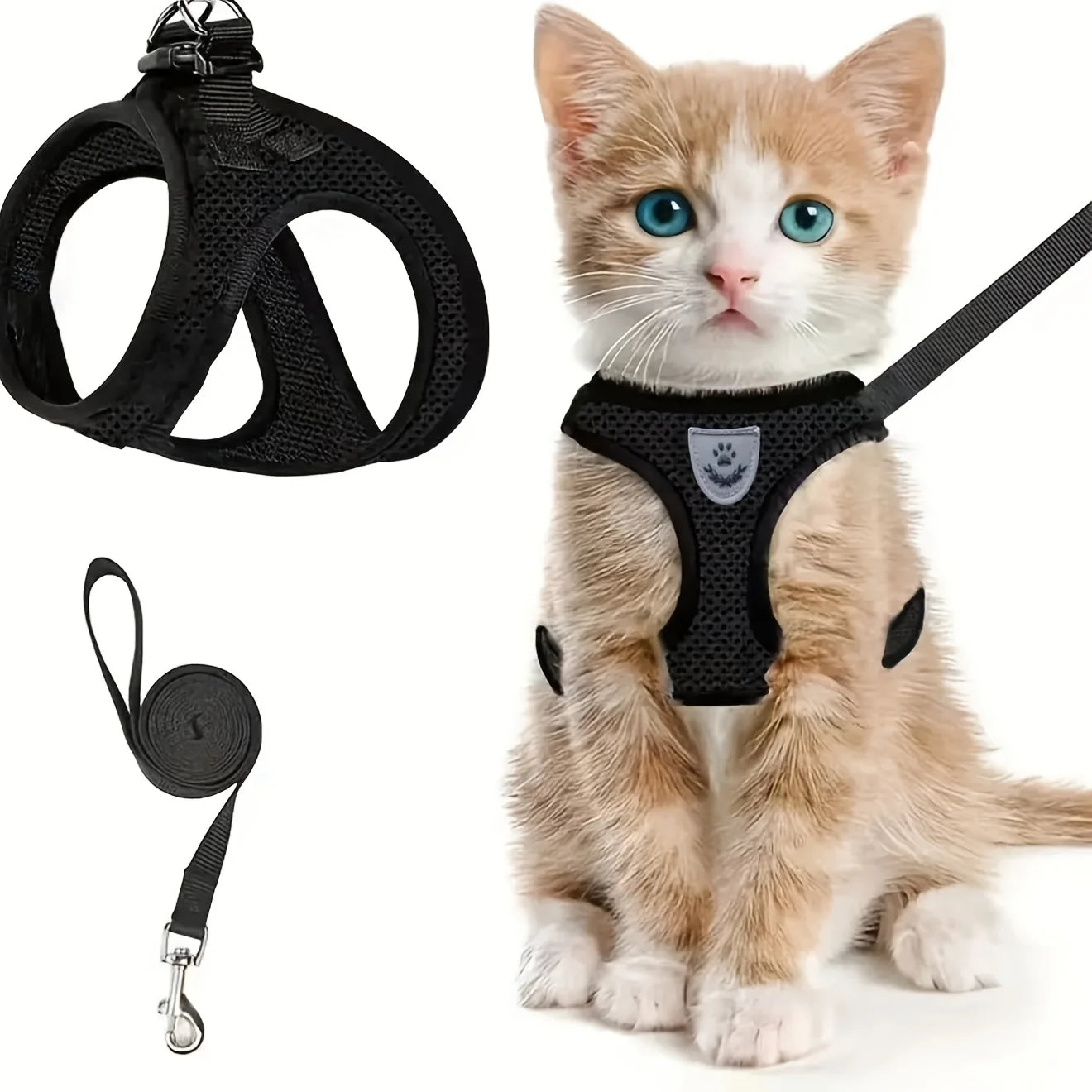 Cat wearing a black harness and leash with a close-up of the harness and leash on a white background.