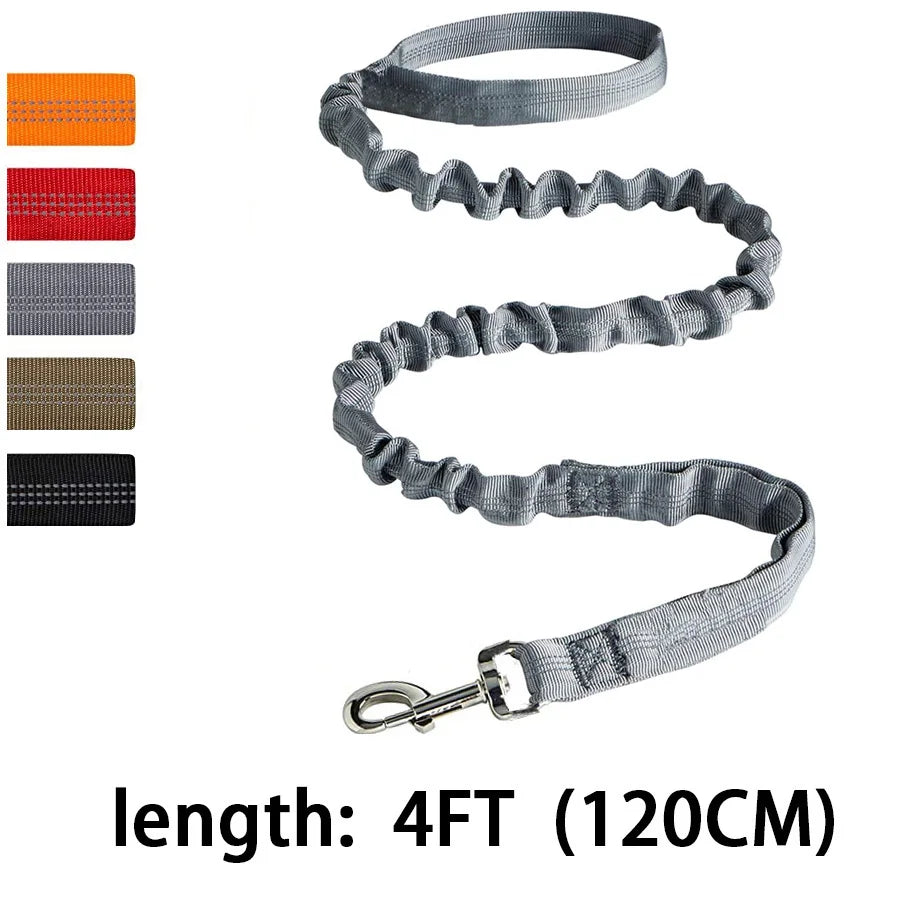 Gray dog leash with color swatches and length label on a white background