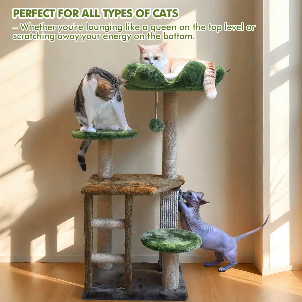 Cat tree with cats on different levels in a sunlit room