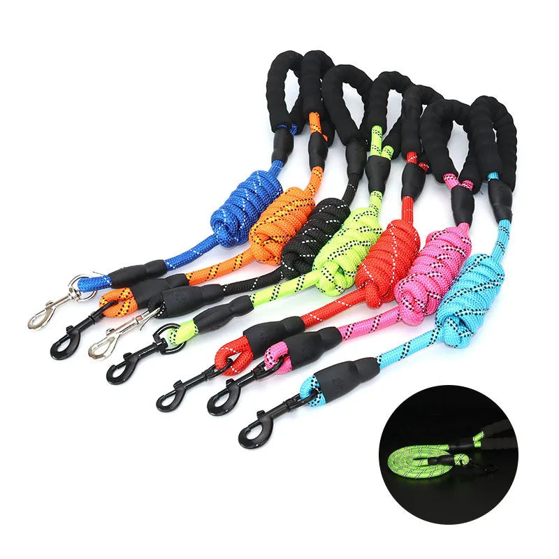 Set of colorful dog leashes with black handles on a white background
