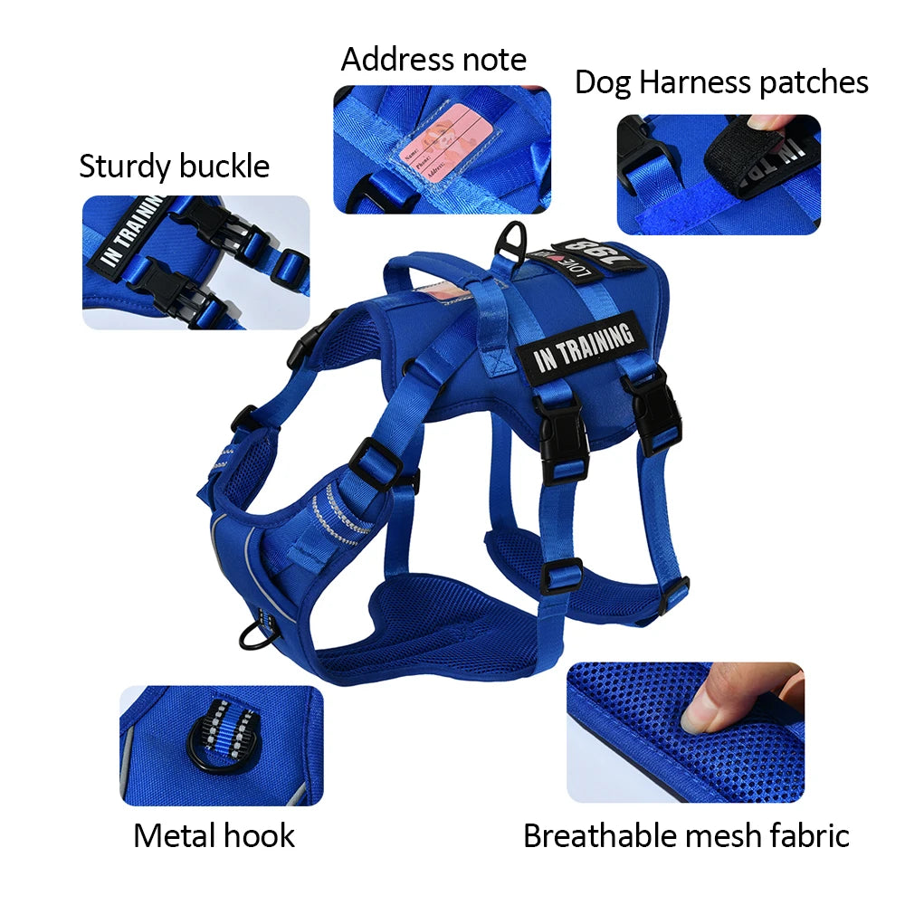 Blue dog harness with features highlighted on a white background