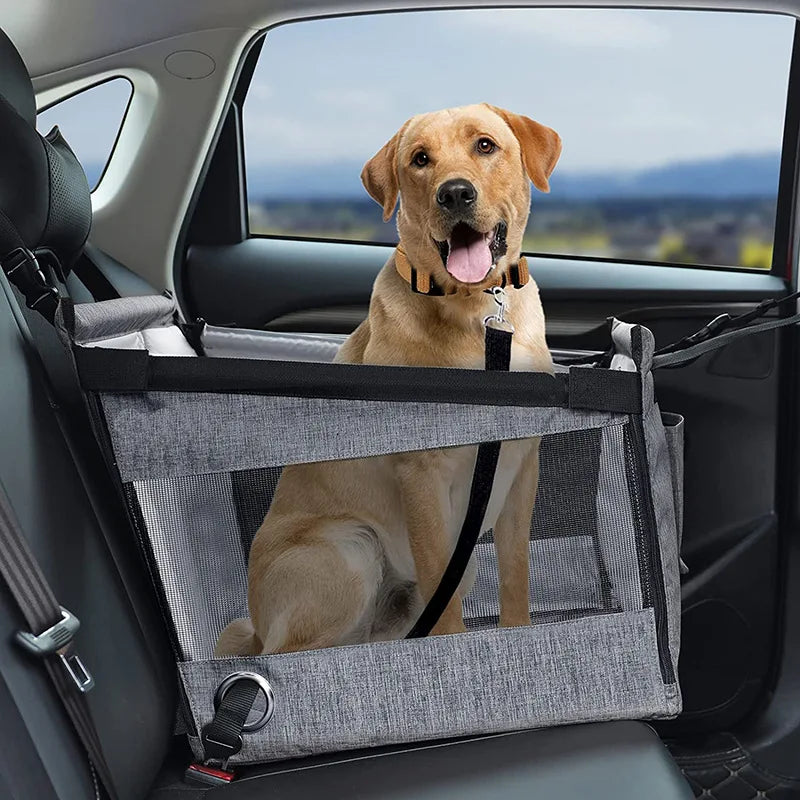 Dog sitting in a car with a pet safety seat