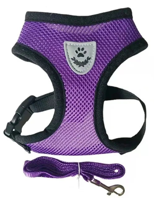 Purple dog harness and leash set with a paw emblem on a white background