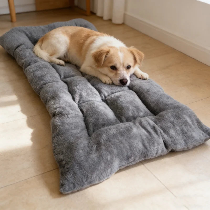 Dog lying on a gray pet bed in a room with wooden flooring.