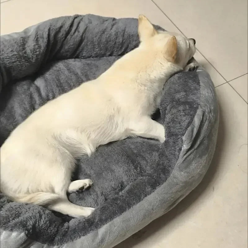 White dog lying on a gray pet bed indoors.