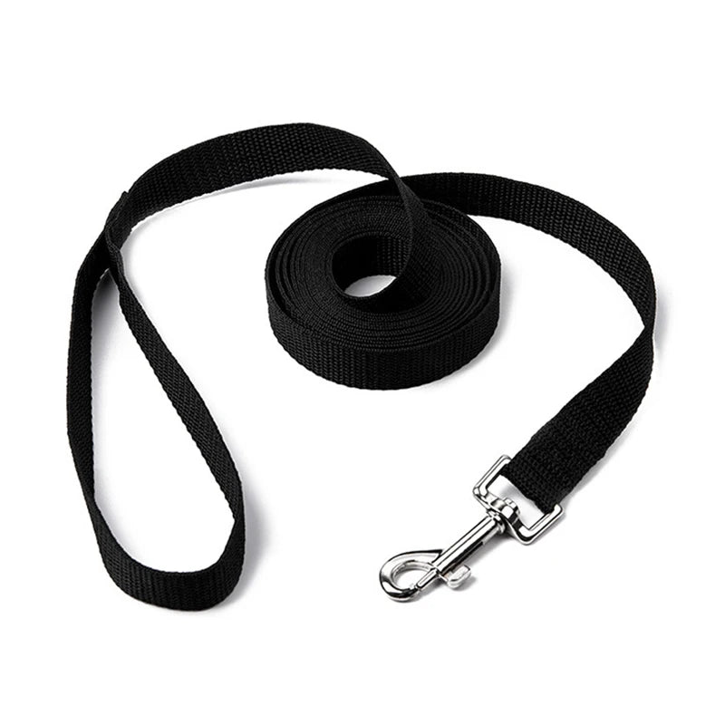 Black dog leash with a metal clip on a white background