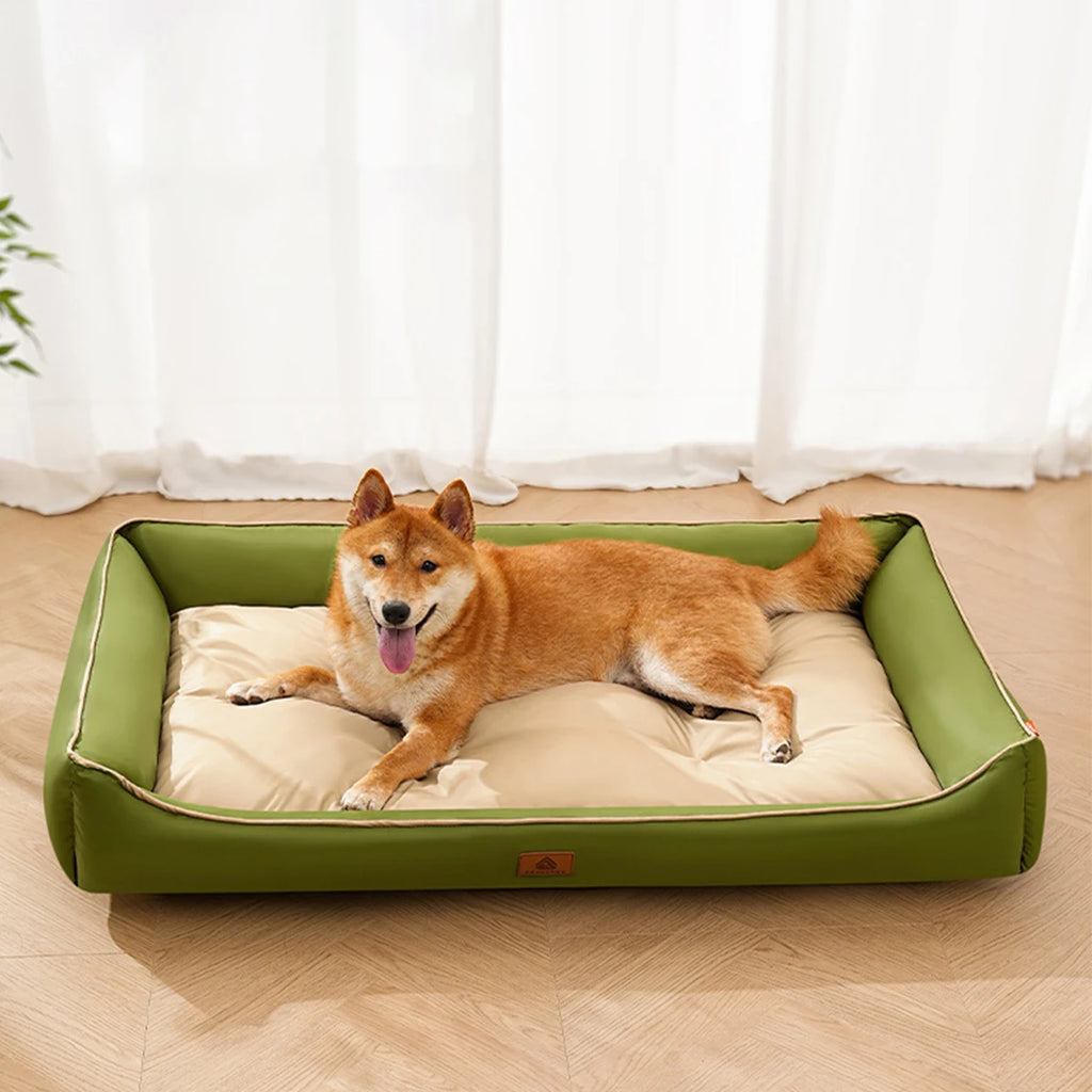 Dog lying on a green and beige pet bed in a room with white curtains.