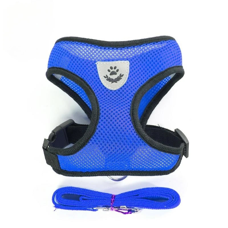 Blue dog harness with black straps and a matching leash on a white background