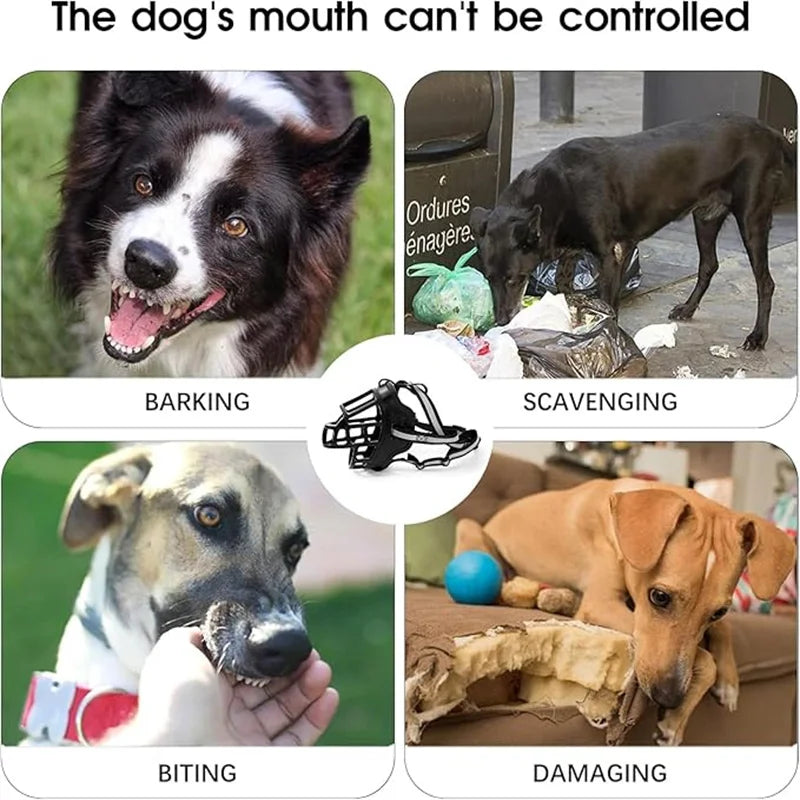 Collage of dogs performing various behaviors with text labels and a product image.
