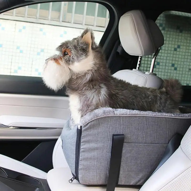 Dog sitting in a car seat booster in a vehicle