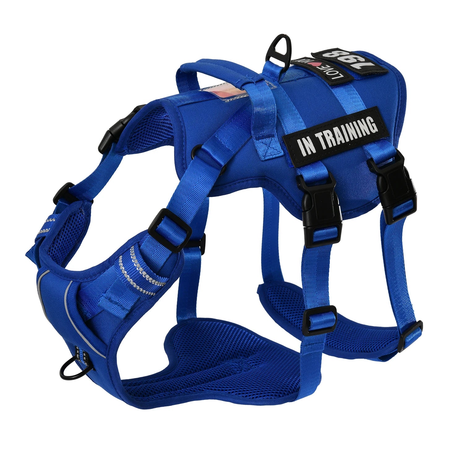 Blue dog harness with 'IN TRAINING' label on a white background