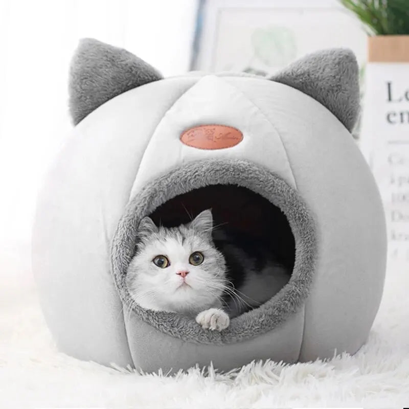 Cat peeking out from a gray and white cat house with ears on a white surface.