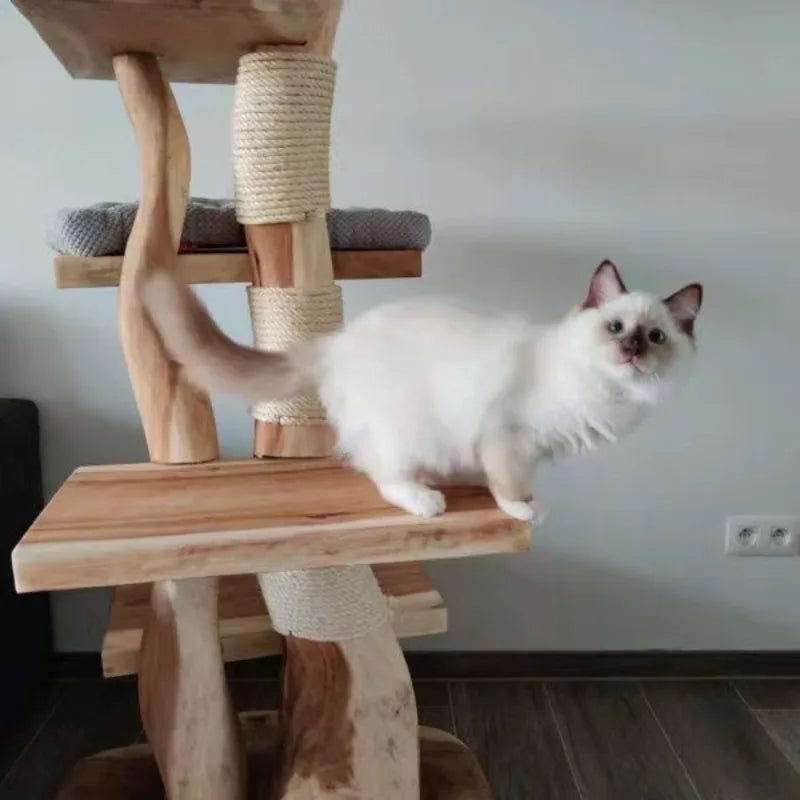 A fluffy white cat with dark ears and paws stands on a wooden cat tree with rope-wrapped scratching posts in an indoor room.