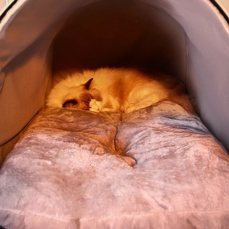 Cat sleeping on a soft cushion inside a pet carrier