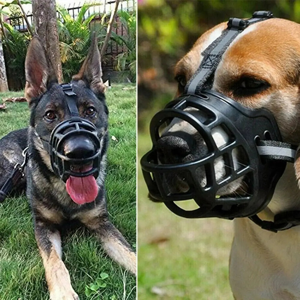 Two dogs wearing black dog muzzles outdoors.