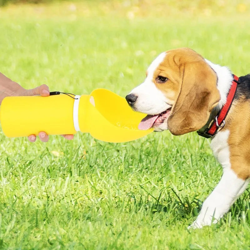 Dog playing with a yellow toy on grass