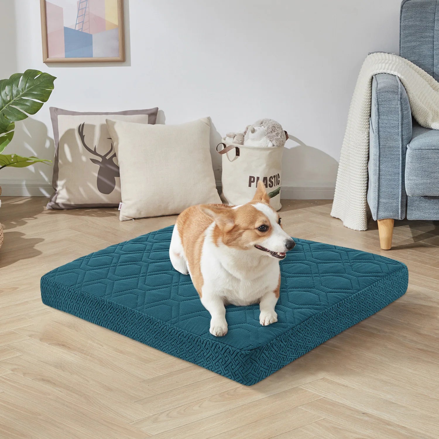 Dog lying on a blue pet bed in a living room setting