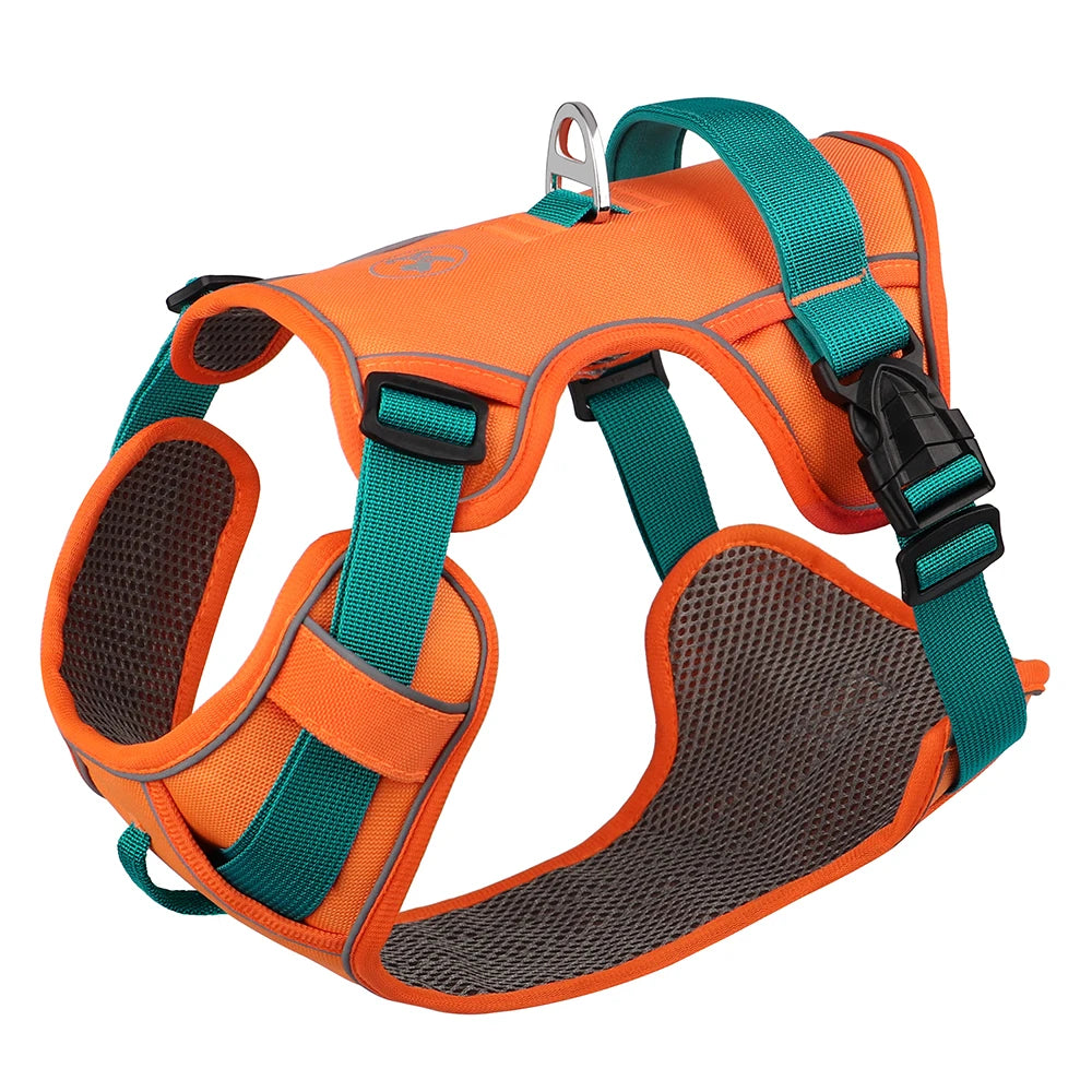 Orange and teal dog harness on a white background
