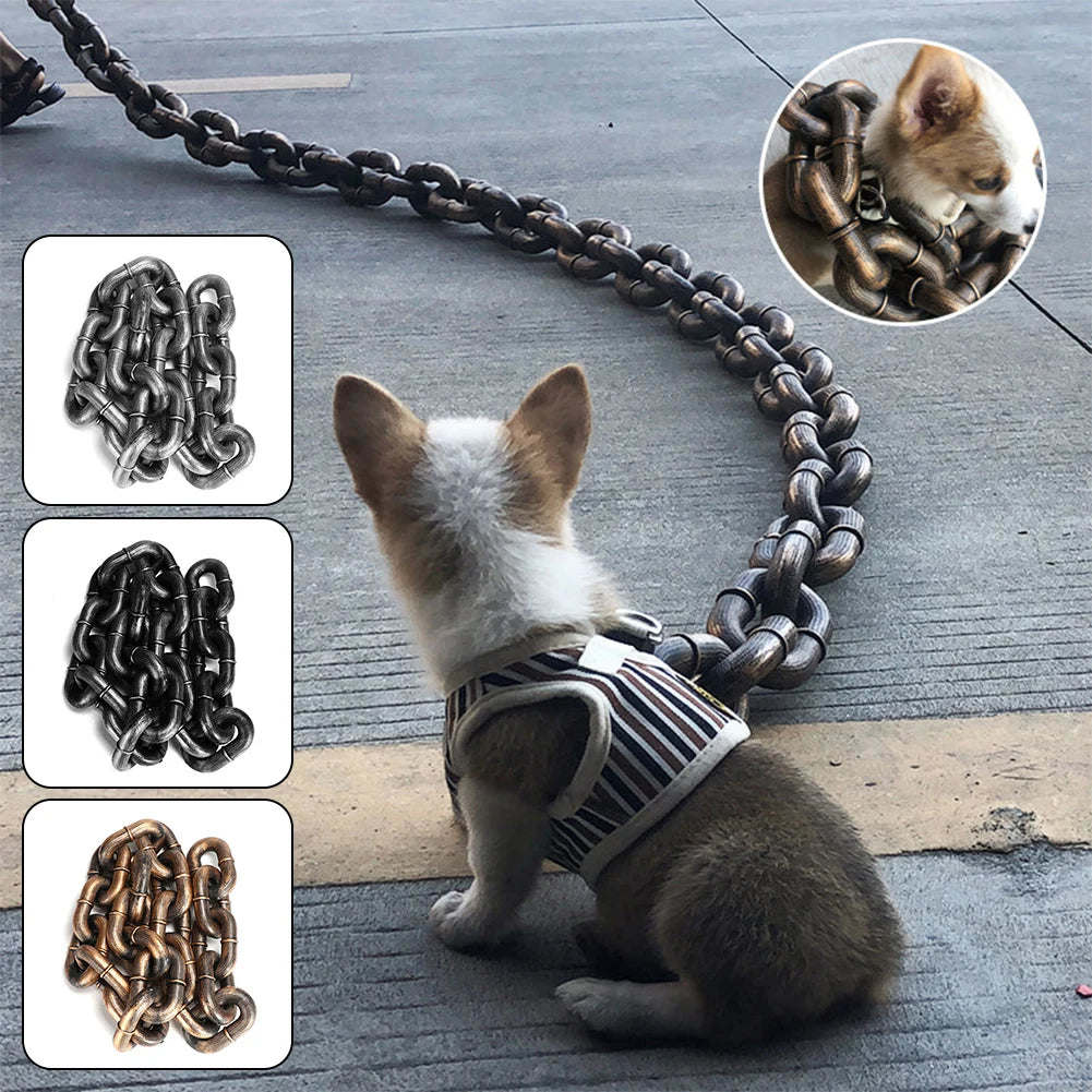 Dog on a chain leash with close-up insets of different chain designs on a concrete floor.