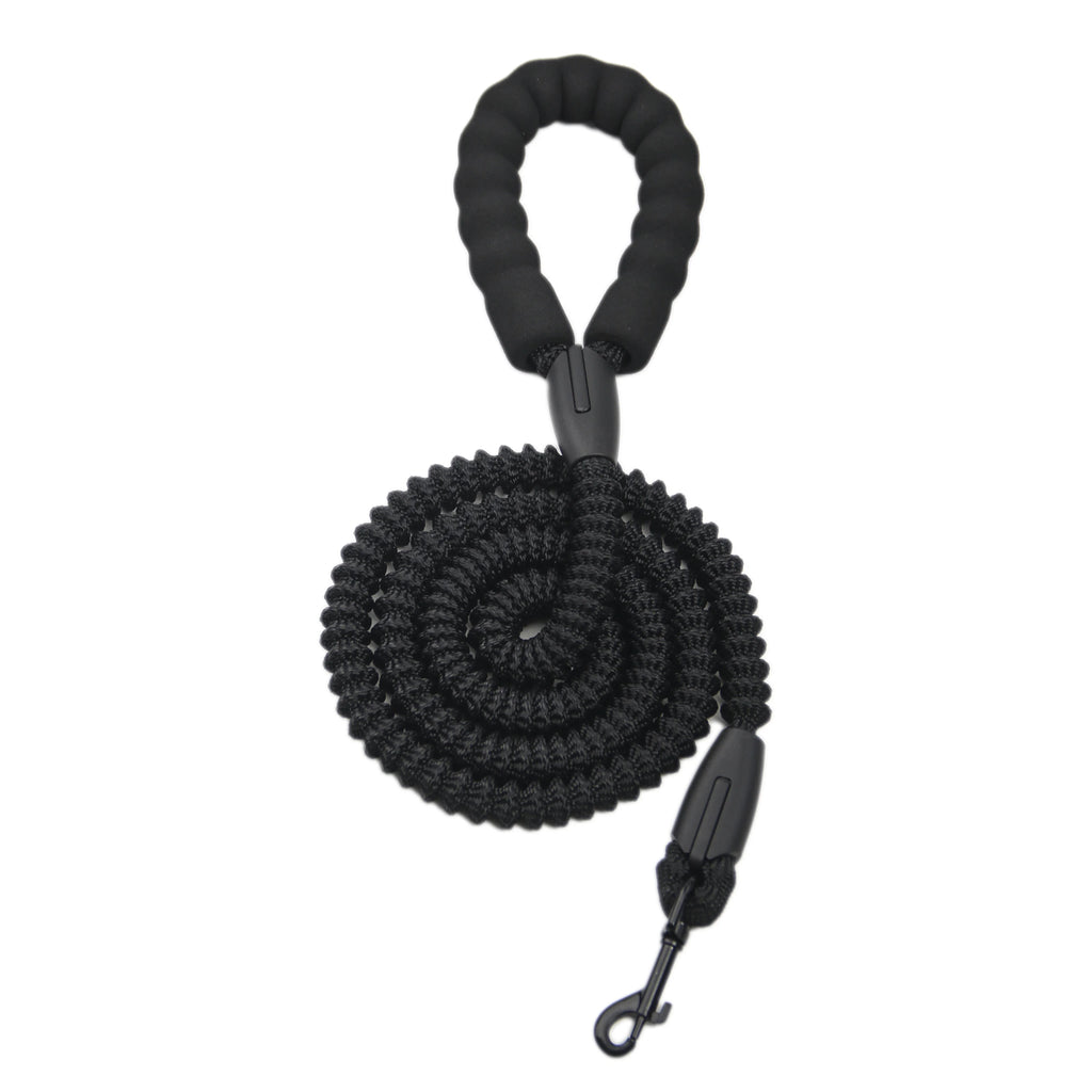 Black dog leash with a clip on a white background