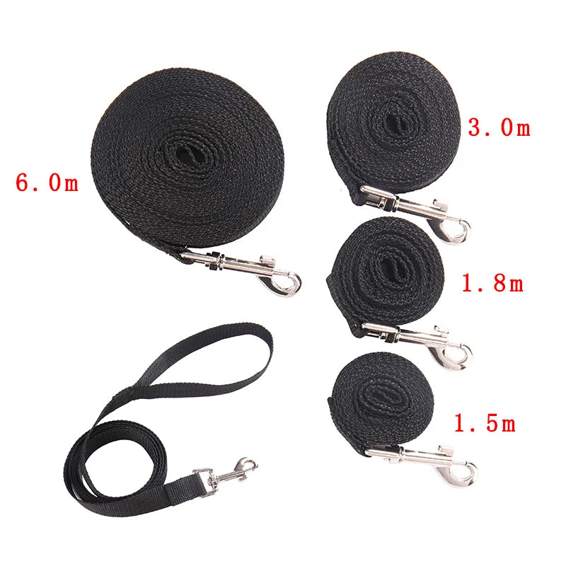 Set of black dog leashes with varying lengths on a white background