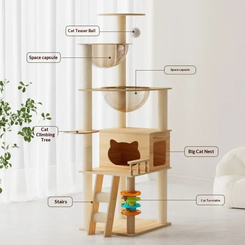 Wooden cat tree with labeled features on a white background