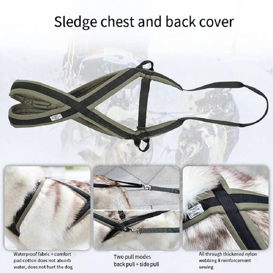 Horse sledge chest and back cover with multiple views and text details on a white background.