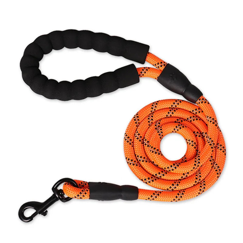 Black and orange dog leash coiled on a white background