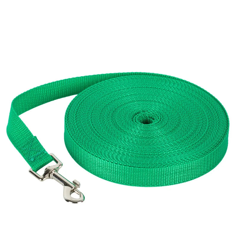 Green dog leash with metal clip on a white background