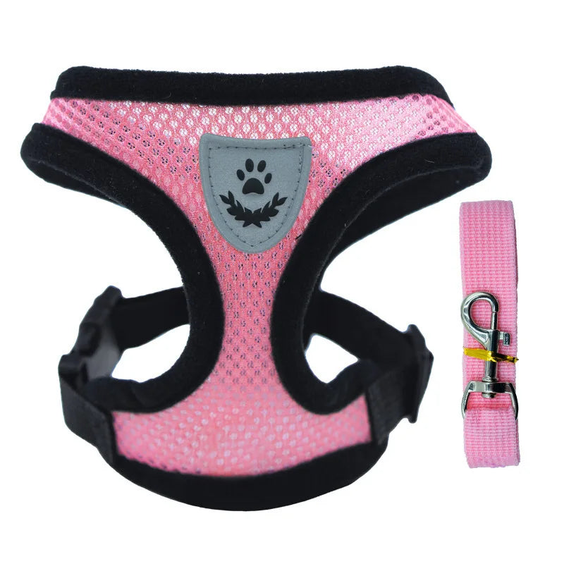 Pink dog harness with black trim and a matching leash on a white background
