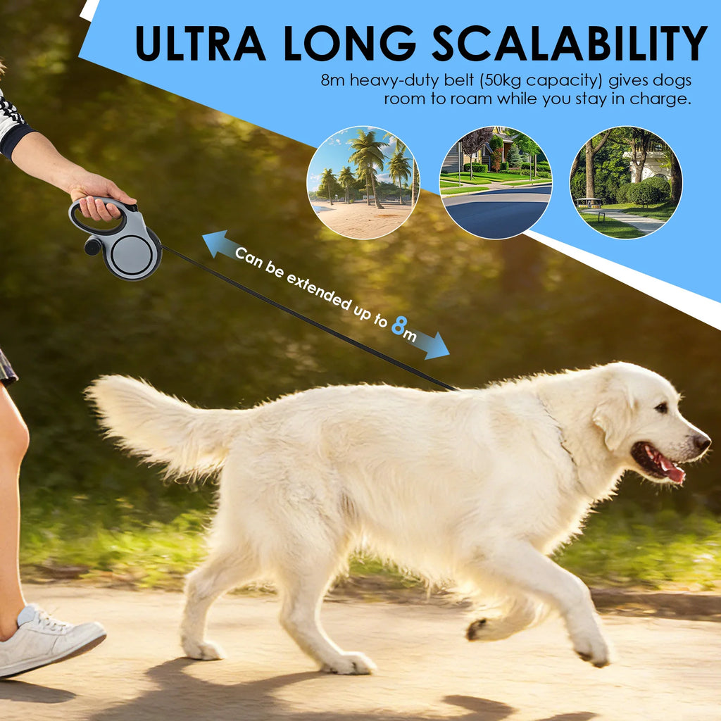 Dog being walked on a long leash with text about ultra long scalability and product features.